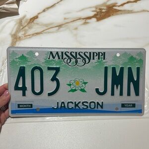 Mississippi License Plate with Green and Blue Design